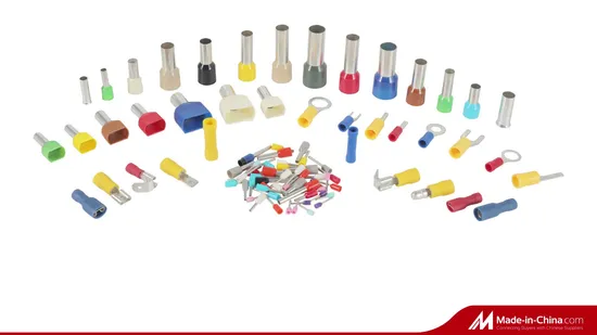 Cerdito aislado ISO9001